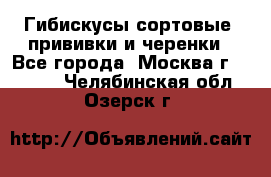 Гибискусы сортовые, прививки и черенки - Все города, Москва г.  »    . Челябинская обл.,Озерск г.